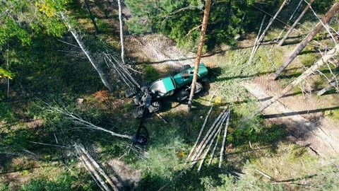 View from above of the harvesting machine processing lumber Stock Footage 115126813