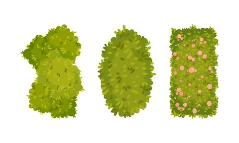 View from above of hedges of different shapes set. Park and garden decorative Ilustração Stock