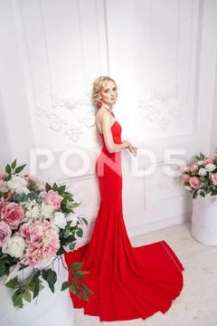 View from above lady in red. Elegance young adult woman posing near flowers a Stock Photos