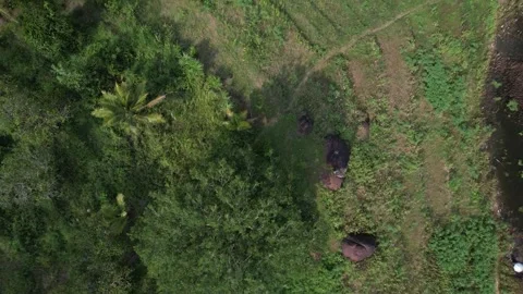 View from above of the lakeside environment Video stock 262293358