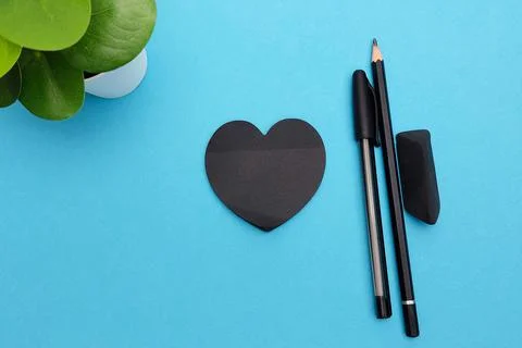 View from above. Layout on a blue background. Green plant, black heart paper for Stock Photos