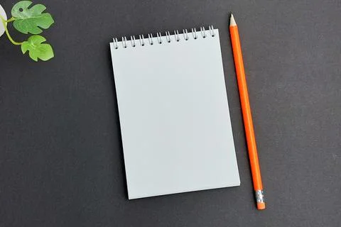 View from above. Layout. Pencil, notepad for notes, green plant on a gray Stock Photos