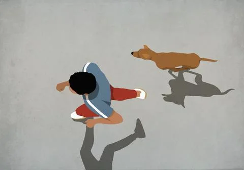 View from above man jogging with dog Ilustração Stock