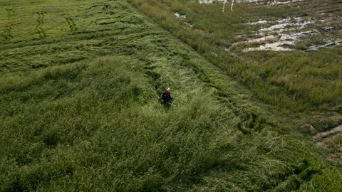 View from above of a man mowing a field Stock Footage 264764651