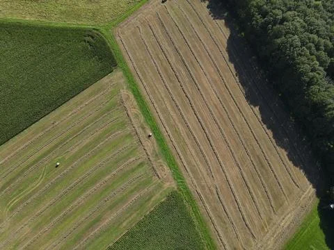 View from above of mowed grass fields, cornfields, and trees in the countryside Stock Photos