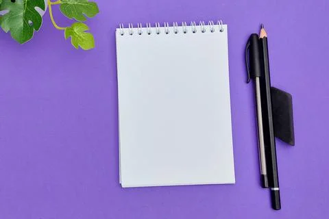 View from above. Notepad, black pen, rubber band, pencil, green plant. Purple Stock Photos