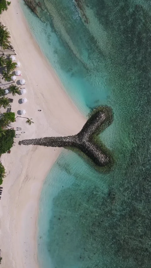 View from above at ocean breakwater Stock Footage 304026414