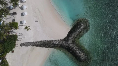 View from above at ocean breakwater Stock Footage 304026498