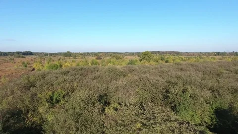 View from above orchard and trees Stock Footage 69853993