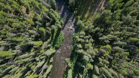 View from Above over Forest River into Lake Stock Footage 266294263