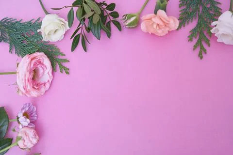 View from above. Part of a close-up frame of fresh flowers rose, ranunculus Stock Photos