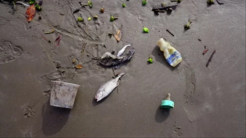 View from above of the pollution on the beach. Stock Footage 241974854
