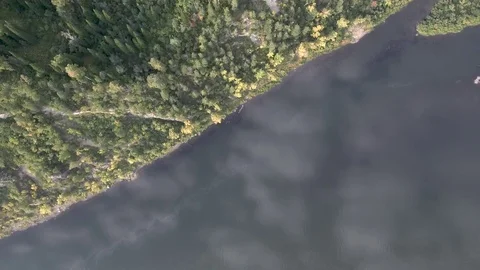 View from above. The river and the mountains are covered with forest. Video stock 103297198