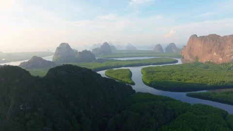 View from above: river through mangroves at daybreak, Thailand Stock Footage 310167260