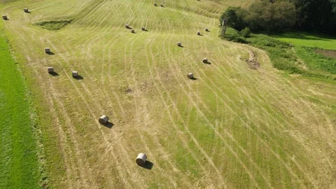 View from above of rolling landscape with many straw bales Stock Footage 164422476