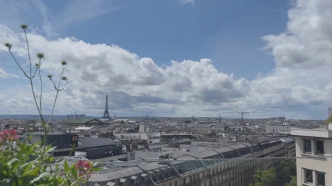 View from above with the roofs in perspective,Paris, time lapse Stock Footage 313919122