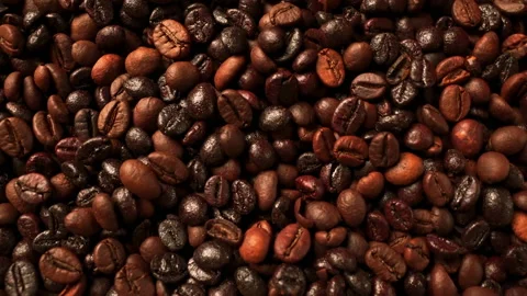 View above on seeds coffee Stock Footage 155684592