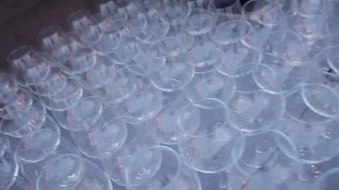 View from above on set of transparent sparkling wine glasses. Slow motion Stock Footage 72603189