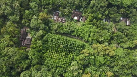 View from above of a settlement in the middle of the forest Stock Footage 260366678