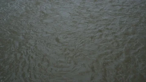A view from above of the slow flow of a dark river. The surface of the water in Video stock 149439416
