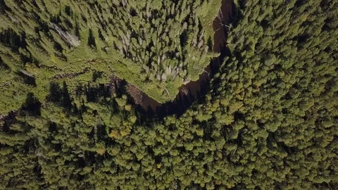 View from above on a small beautiful river in the taiga aerial Video stock 80688679