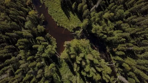 View from above on a small beautiful river in the taiga aerial Stock Footage 80688749