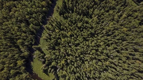 View from above on a small beautiful river in the taiga aerial Stock Footage 80688835