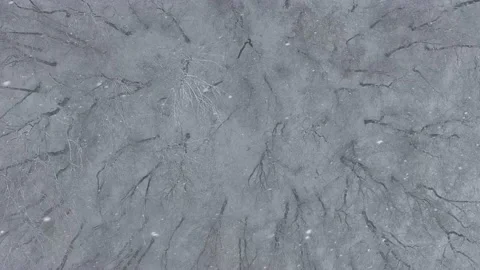 View from above snow falling over trees in winter forest, Germany Stock Footage 169990257