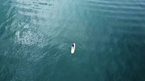 View from above of strangers playing surfboards on the lake Stock Footage 213928308