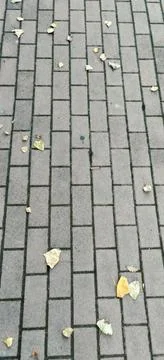 View from above of a street paved with interlocking blocks with dry leaves on 스톡 사진