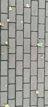 View from above of a street paved with interlocking blocks with dry leaves on 스톡 사진