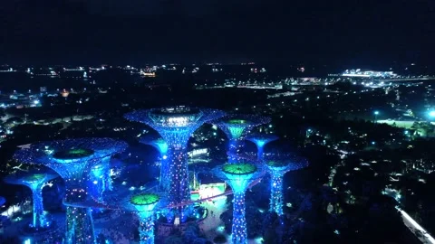 View from above of the super trees of gardens by the bay in Singapore. The tall 動画素材 143573161