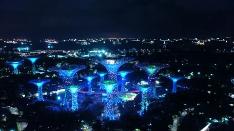 View from above of the super trees of gardens by the bay in Singapore. The tall Vídeo Stock 143573846