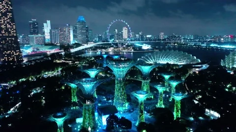 View from above of the super trees of gardens by the bay in Singapore. The tall Video stock 143574045