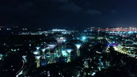 View from above of the super trees of gardens by the bay in Singapore. The tall Video stock 143574389