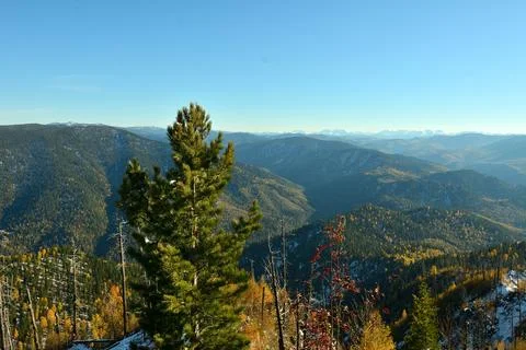 View from above tall cedars and dried trees to picturesque mountain ranges .. Fotos Stock