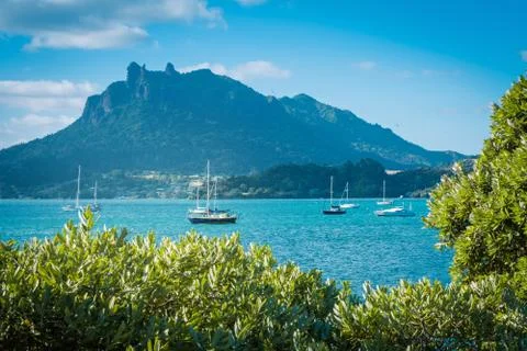 View above tree branches over tranquil azure water of the bay and Mount Manai Stock Photos
