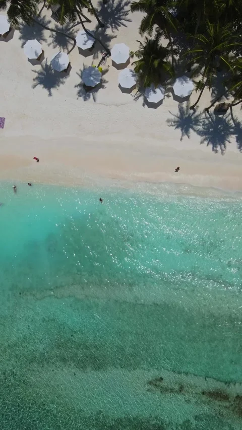 View from above at tropical beach Stock Footage 303953139