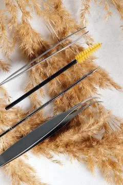 View from above of various tools for lash extension, tweezers and brushes, .. Stock Photos