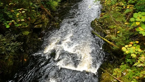 View from above of water stream in the middle of a green forest in Alaska. Stock-Footage 121598513