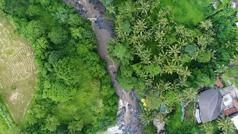 View of above waterfall in deep forest. Mountain river on a tropical island Stock Footage 105670065