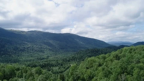 A view from above of wildlife. Stock Footage 95458218
