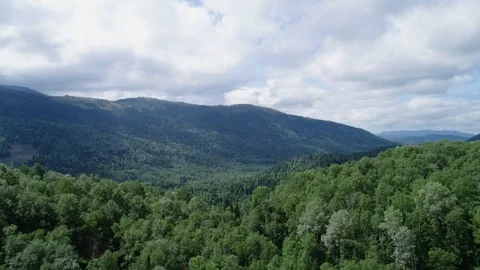 A view from above of wildlife. Stock Footage 95458309