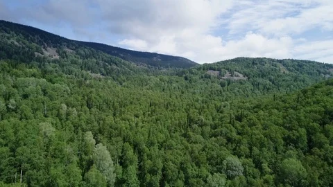 A view from above of wildlife. Stock Footage 95458334