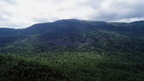 A view from above of wildlife. Stock Footage 95458397