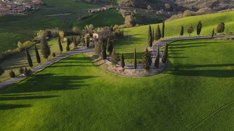 View from above of a winding road surrounded by lush trees and grass Stock Footage 269033081