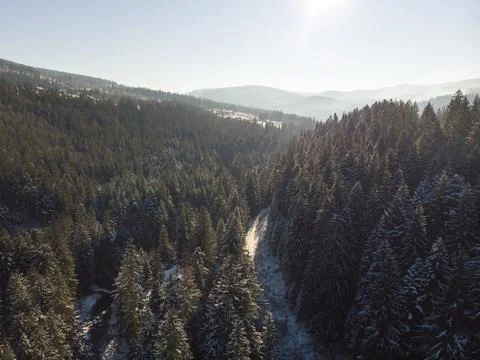 View from above on a winter forest on a cold sunny day Stock Photos