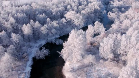 View from above of winter snow-covered nature, white trees felled into river Stock Footage 168079006