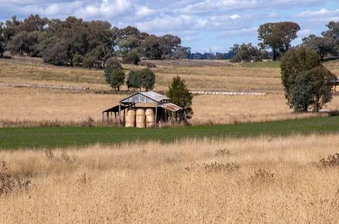 View across fields of dry grass to shed with hay bales Stock Photos