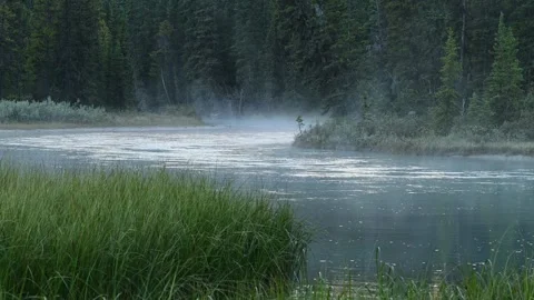 View Across a Flowing Park River as Morning Mist Drifts Gently Over Moving Water Stock Footage 331683916